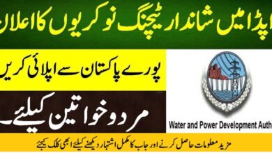 WAPDA Teachers Jobs May 2024 Online Apply