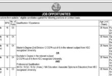 WAPDA Trained Graduate Teachers (BPS-16) Jobs 2024