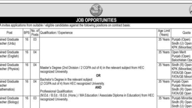 WAPDA Trained Graduate Teachers (BPS-16) Jobs 2024