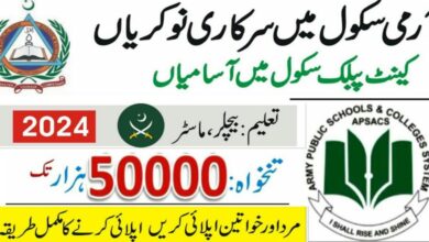 Army Public School and College Jobs 2024