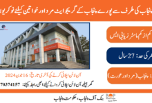 Bank of Punjab Management Trainee Program Jobs 2024 Online Apply