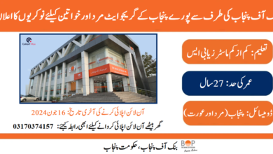 Bank of Punjab Management Trainee Program Jobs 2024 Online Apply