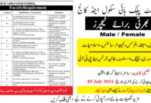 Cantt Public High School and Girls College Kharian Jobs June 2024