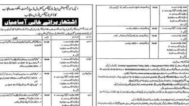 Excise and Taxation Department Punjab Jobs 2024 (BPS-01 to 14)