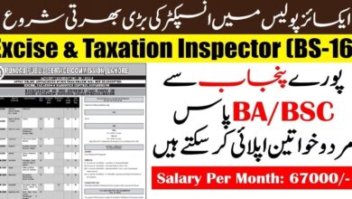 Excise and Taxation Inspector Jobs 2024 (BS-16) on Regular Basis
