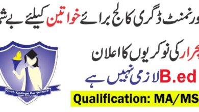 Govt Graduate Degree College for Women Model Town Lahore Jobs 2024