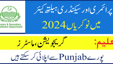 Healthcare Department Punjab Jobs in June 2024 (Multiple Vacancies)