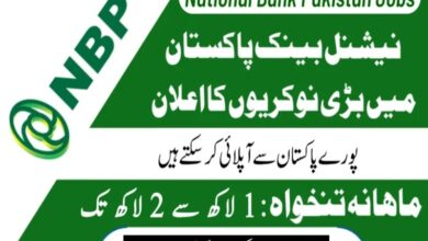 NBP Latest Jobs June 2024