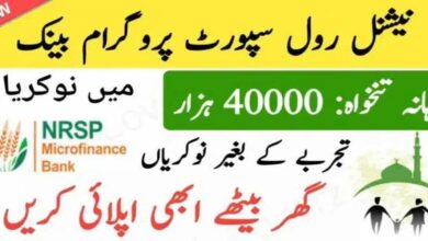 National Rural Support Programme NRSP Jobs 2024 for Field Staff