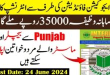 PEF Punjab Education Foundation Paid Internship Program 2024