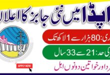 WAPDA LESCO Jobs 2024 for June