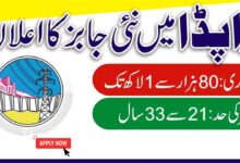 WAPDA Lecturer Jobs 2024