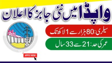 WAPDA Lecturer Jobs 2024