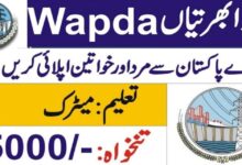 WAPDA Matric Pass Jobs 2024