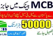 MCB Jobs 2024