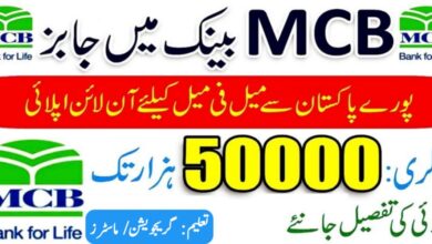 MCB Jobs 2024