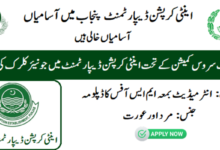 Anti Corruption Department Punjab Jobs 2024