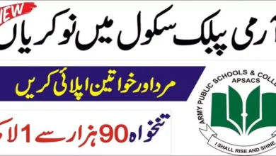 Army Public School and College Jinnah Campus Jobs 2024