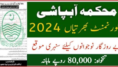 Assistant Executive Engineer Sub Divisional Officer (SDO) BS-17 Jobs 2024 Irrigation Department