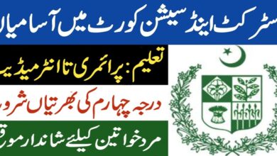 District & Sessions Court Latest Jobs 2024