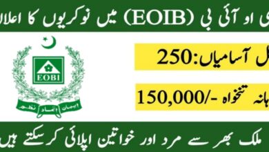 Employees Old age Benefit Institute (Latest Jobs August 2024)