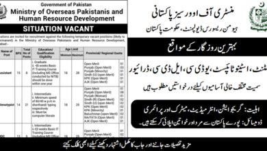 Ministry of Overseas Pakistanis Latest Jobs July 2024