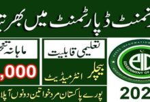 Press Information Department PID Jobs 2024