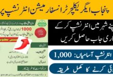 Punjab Agriculture Department Internship Program 2024