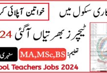 Senior & Junior Female Teachers Jobs in Lahore Cantt Public Girls School