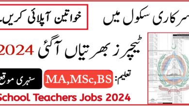 Senior & Junior Female Teachers Jobs in Lahore Cantt Public Girls School