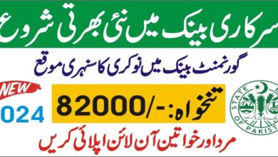 State Bank of Pakistan Latest Jobs July 2024 Online Appy