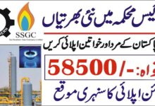 Sui Southern Gas Company SSGC Latest Jobs July 2024