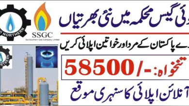 Sui Southern Gas Company SSGC Latest Jobs July 2024