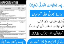 WAPDA Jobs Online Apply August 2024