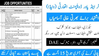 WAPDA Jobs Online Apply August 2024