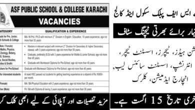 ASF Public School and College Jobs 2024