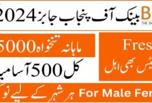 Bank of Punjab Latest Jobs August 2024