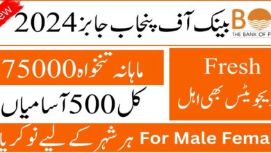 Bank of Punjab Latest Jobs August 2024