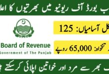 Board of Revenue Punjab Latest Jobs August 2024