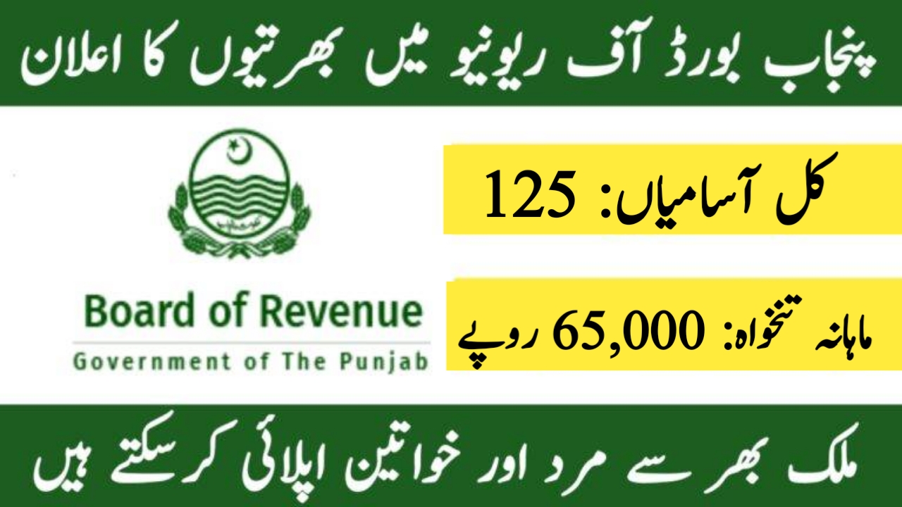 Board of Revenue Punjab Latest Jobs August 2024