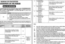 Bureau of Statistics Punjab Jobs 2025