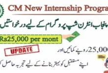 CM Punjab Paid Internship Program 2024