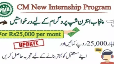 CM Punjab Paid Internship Program 2024