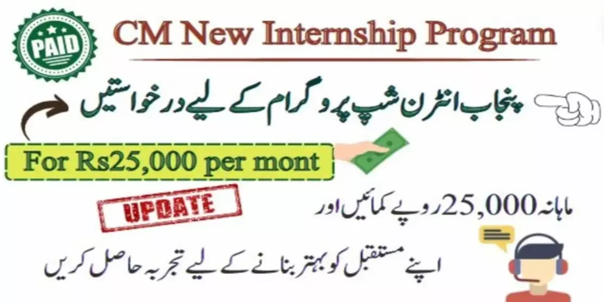 CM Punjab Paid Internship Program 2024