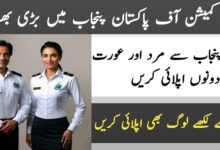 Election Commission of Pakistan Punjab Jobs 2024