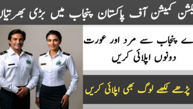 Election Commission of Pakistan Punjab Jobs 2024