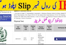 IB Jobs 2024 Roll No Slip Download