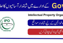 Intellectual Property Organization IPO Jobs 2024