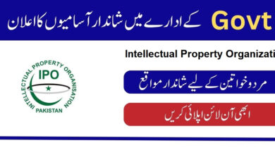 Intellectual Property Organization IPO Jobs 2024