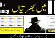 Intelligence Bureau Jobs 2024